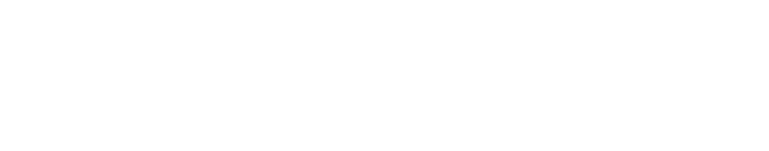 Wiseair