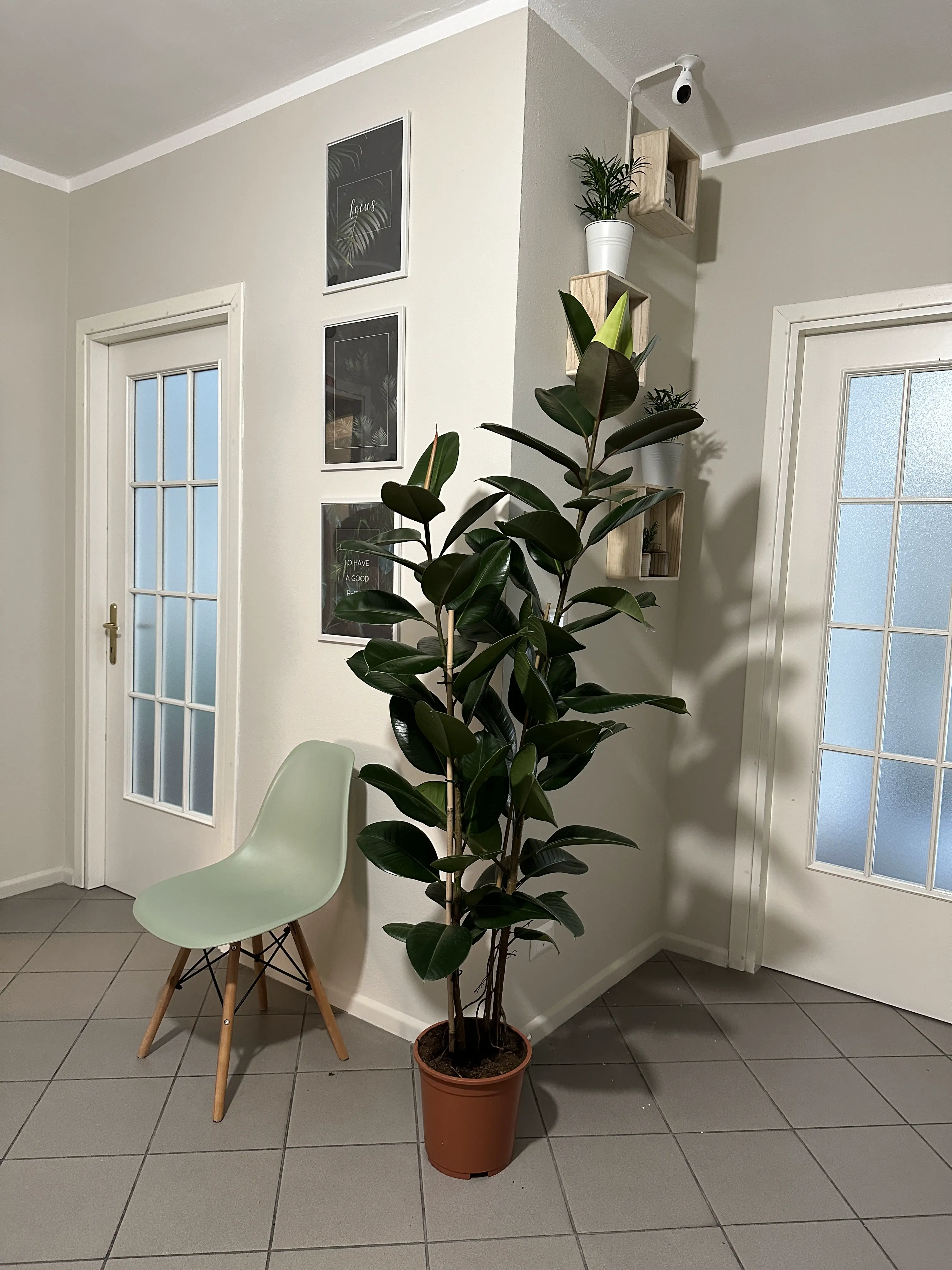 Coworking Asti img